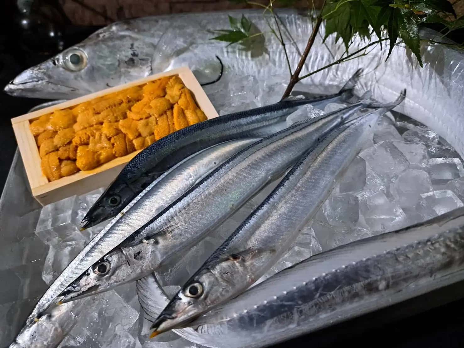 豊洲市場から厳選した魚介